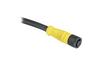DC Micro Cordset Guardmaster 889D, M12 8pin socket » M12 8pin plug, 1.5A 30VAC/36VDC, -20..80°C, 5m PVC cable, IP65, NEMA4, Allen-Bradley